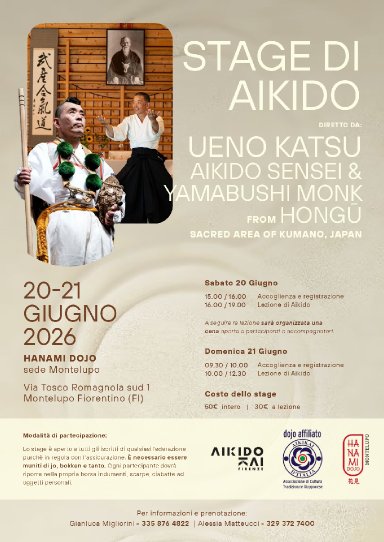 Aikido seminar poster