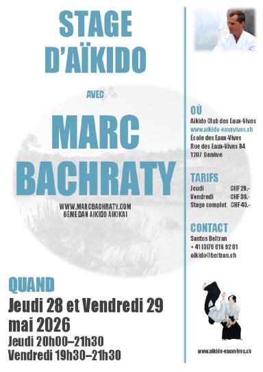 Aikido seminar poster