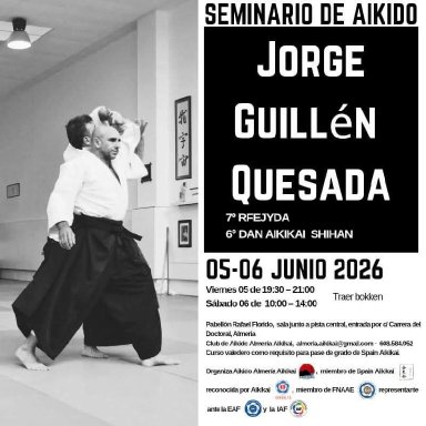Aikido seminar poster