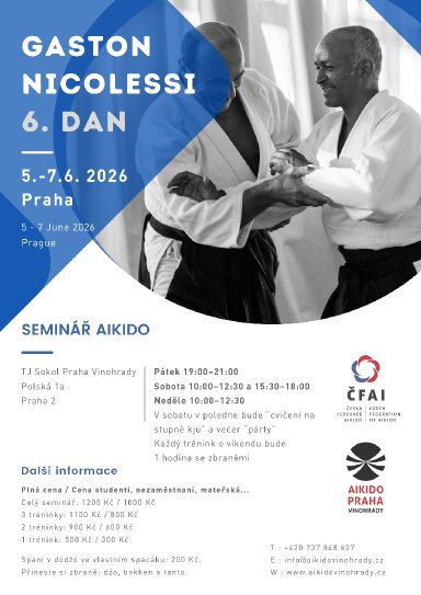 Aikido seminar poster
