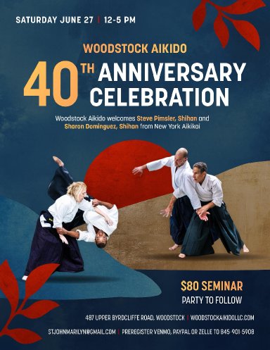 Aikido seminar poster