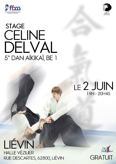 Aikido seminar poster