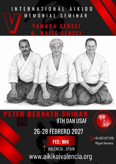 Aikido seminar poster