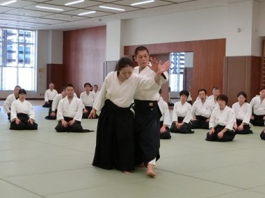 Aikido seminar poster
