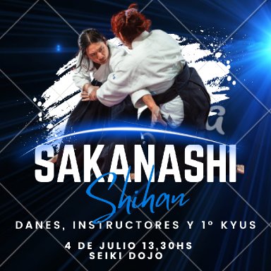 Aikido seminar poster