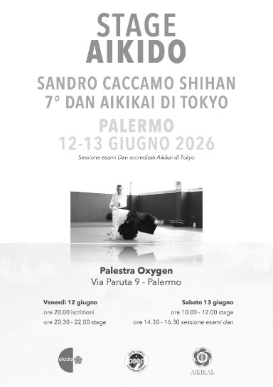 Aikido seminar poster