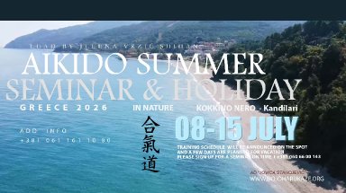 Aikido seminar poster
