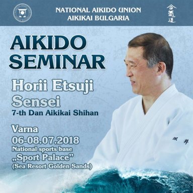 Aikido seminar poster