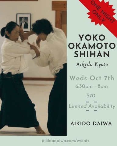 Aikido seminar poster