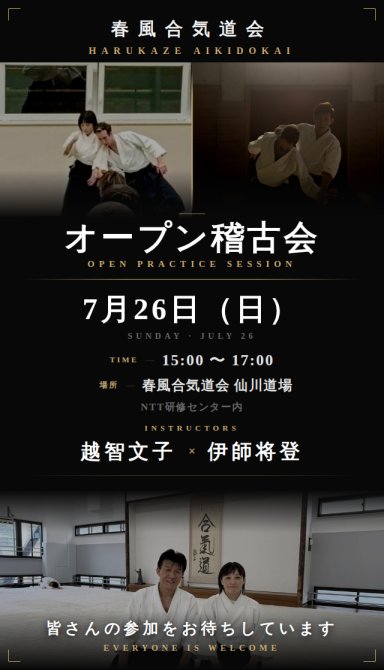 Aikido seminar poster