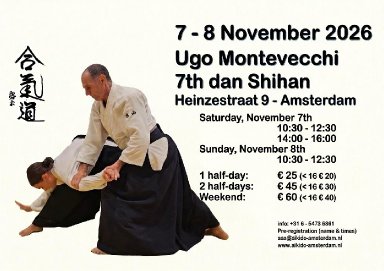 Aikido seminar poster