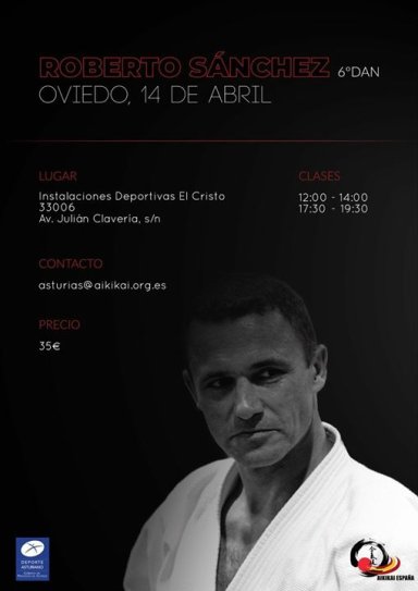 Aikido seminar poster