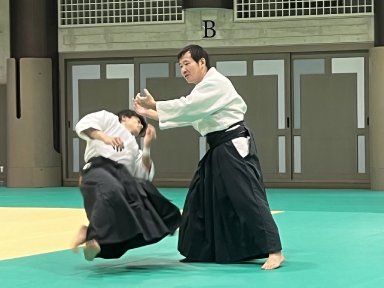 Aikido seminar poster