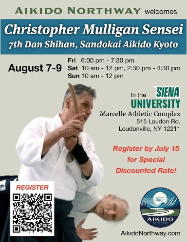 Aikido seminar poster