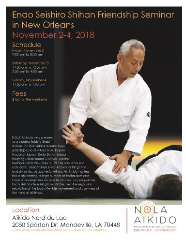 Aikido seminar poster