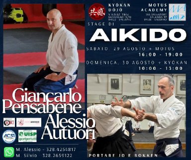 Aikido seminar poster