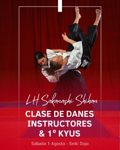 Aikido seminar poster