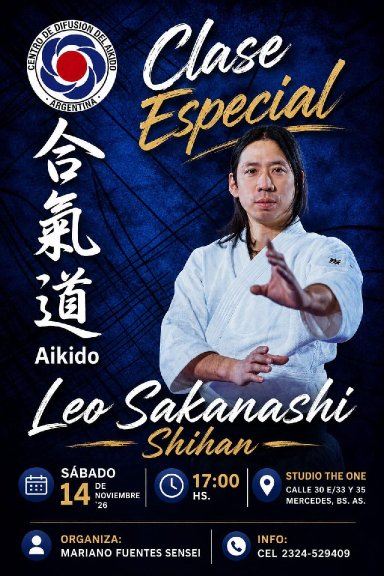 Aikido seminar poster