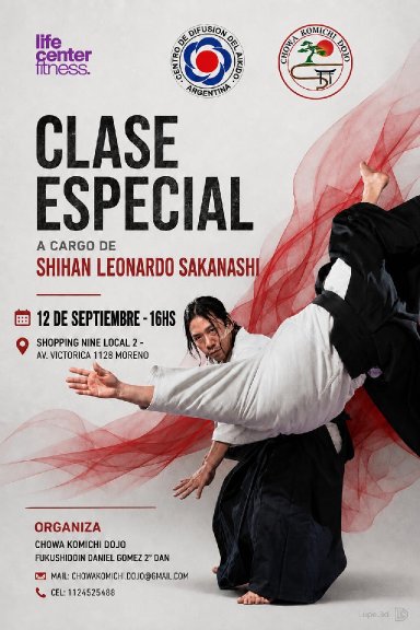 Aikido seminar poster