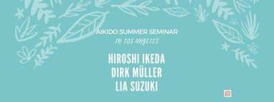 Aikido seminar poster