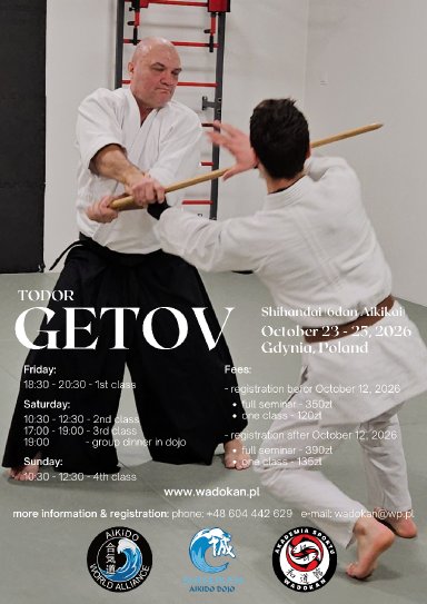 Aikido seminar poster