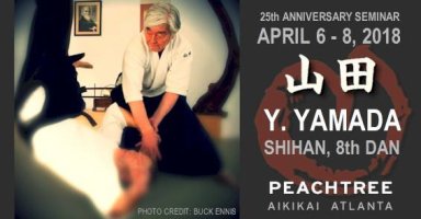 Aikido seminar poster