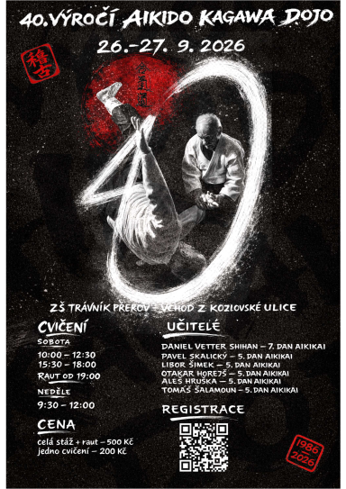 Aikido seminar poster