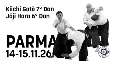 Aikido seminar poster