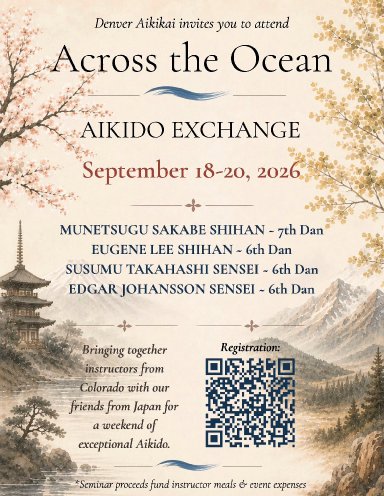 Aikido seminar poster