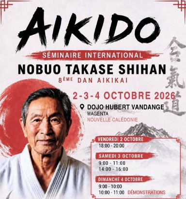 Aikido seminar poster