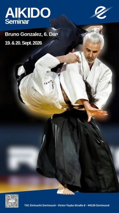 Aikido seminar poster