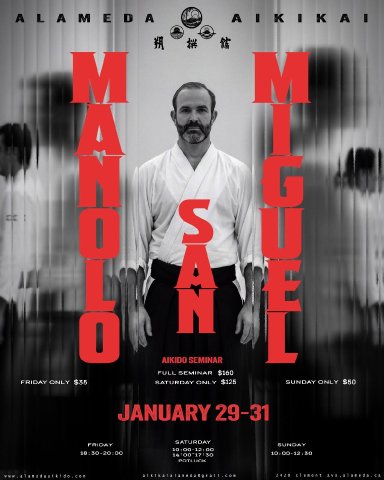 Aikido seminar poster