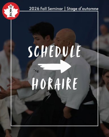 Aikido seminar poster