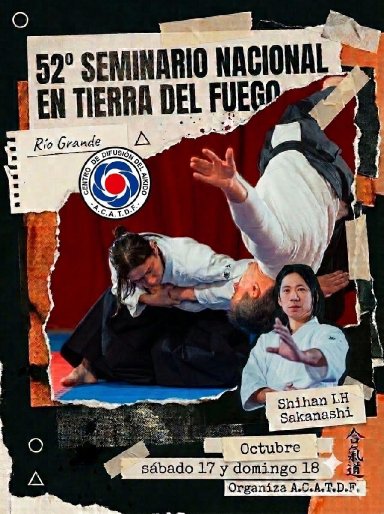 Aikido seminar poster