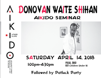 Aikido seminar poster