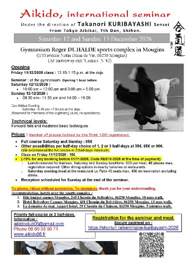 Aikido seminar poster