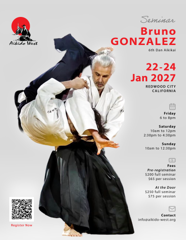 Aikido seminar poster