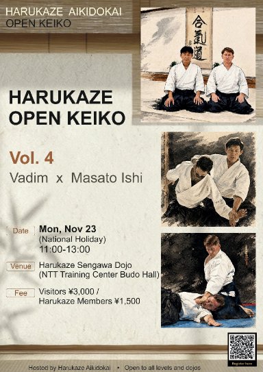 Aikido seminar poster