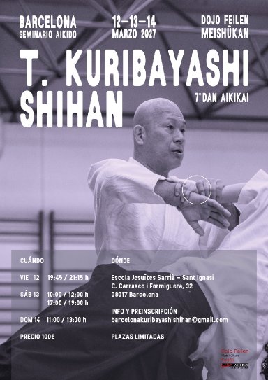 Aikido seminar poster