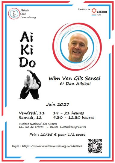 Aikido seminar poster