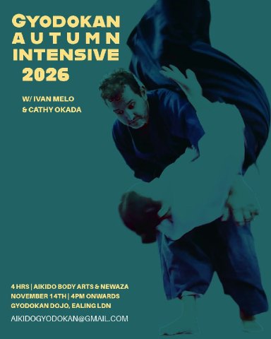 Aikido seminar poster