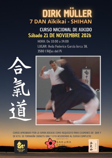 Aikido seminar poster