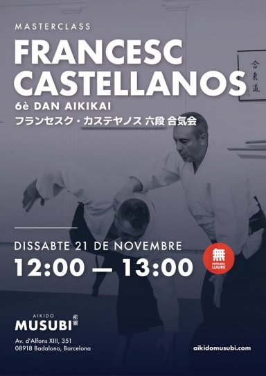 Aikido seminar poster