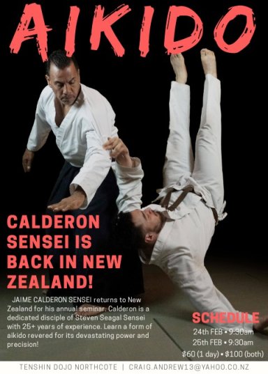 Aikido seminar poster