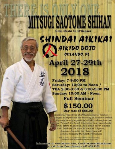 Aikido seminar poster