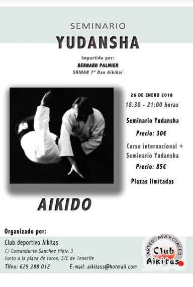 Aikido seminar poster