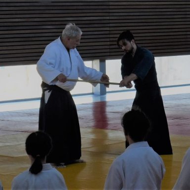 Aikido seminar poster