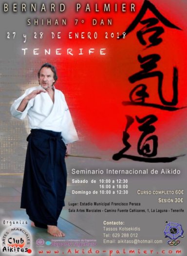 Aikido seminar poster