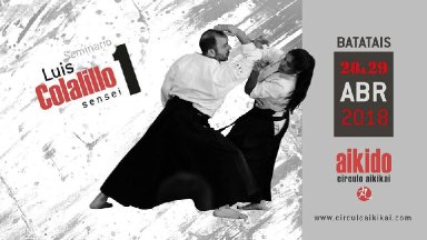 Aikido seminar poster