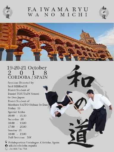 Aikido seminar poster